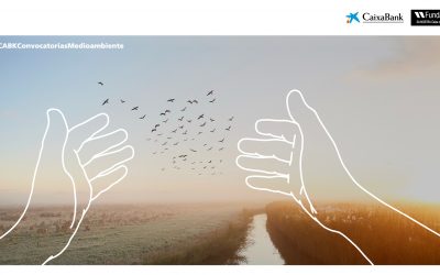 CaixaBank i Fundació Sa Nostra convoquen ajudes per 100.000 euros per a projectes mediambientals a les Illes Balears